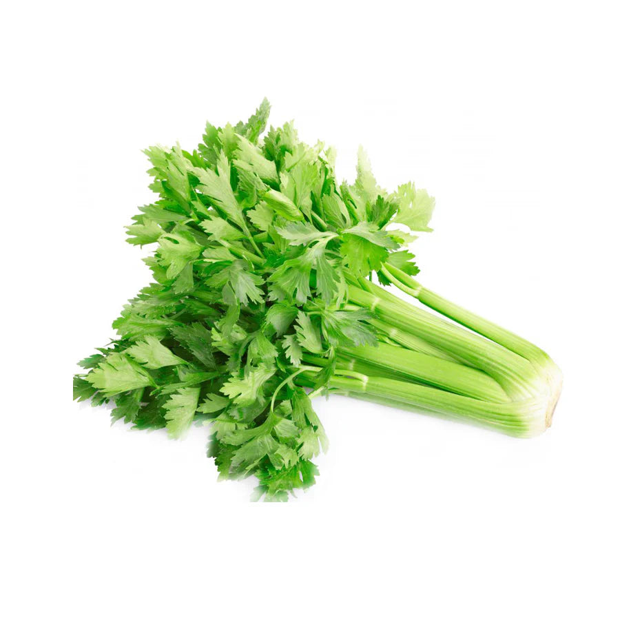Your-Supplement-product-ingredient-celery
