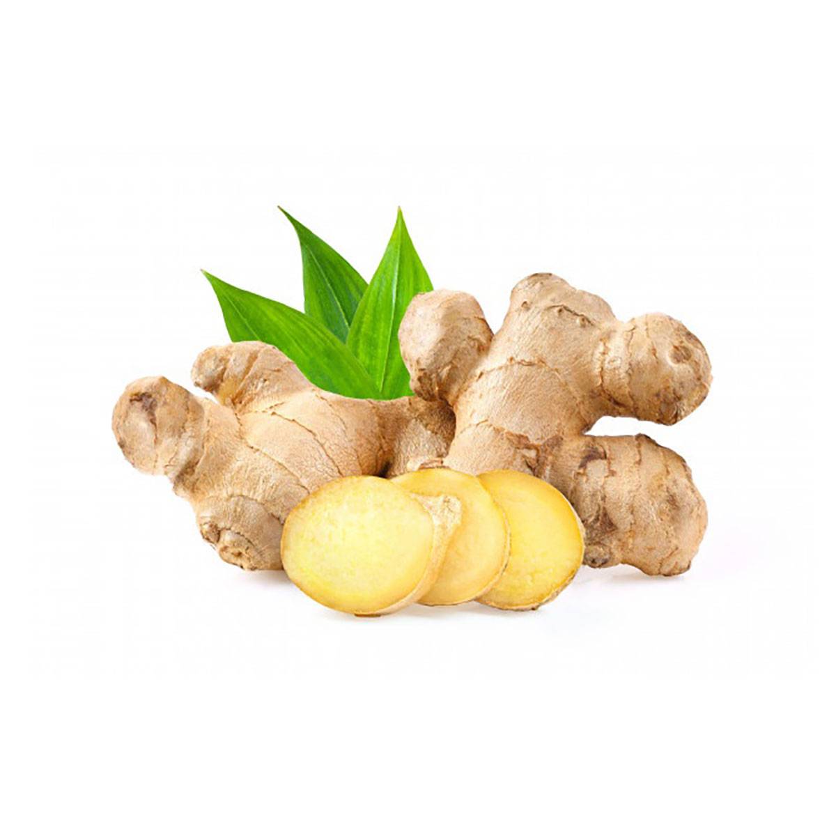 Your-Supplement-product-ingredient-ginger