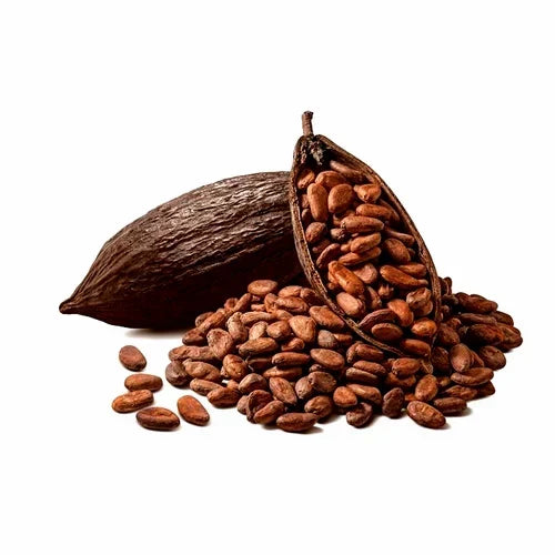 Your-Supplement-product-ingredient-dried-cocoa-beans
